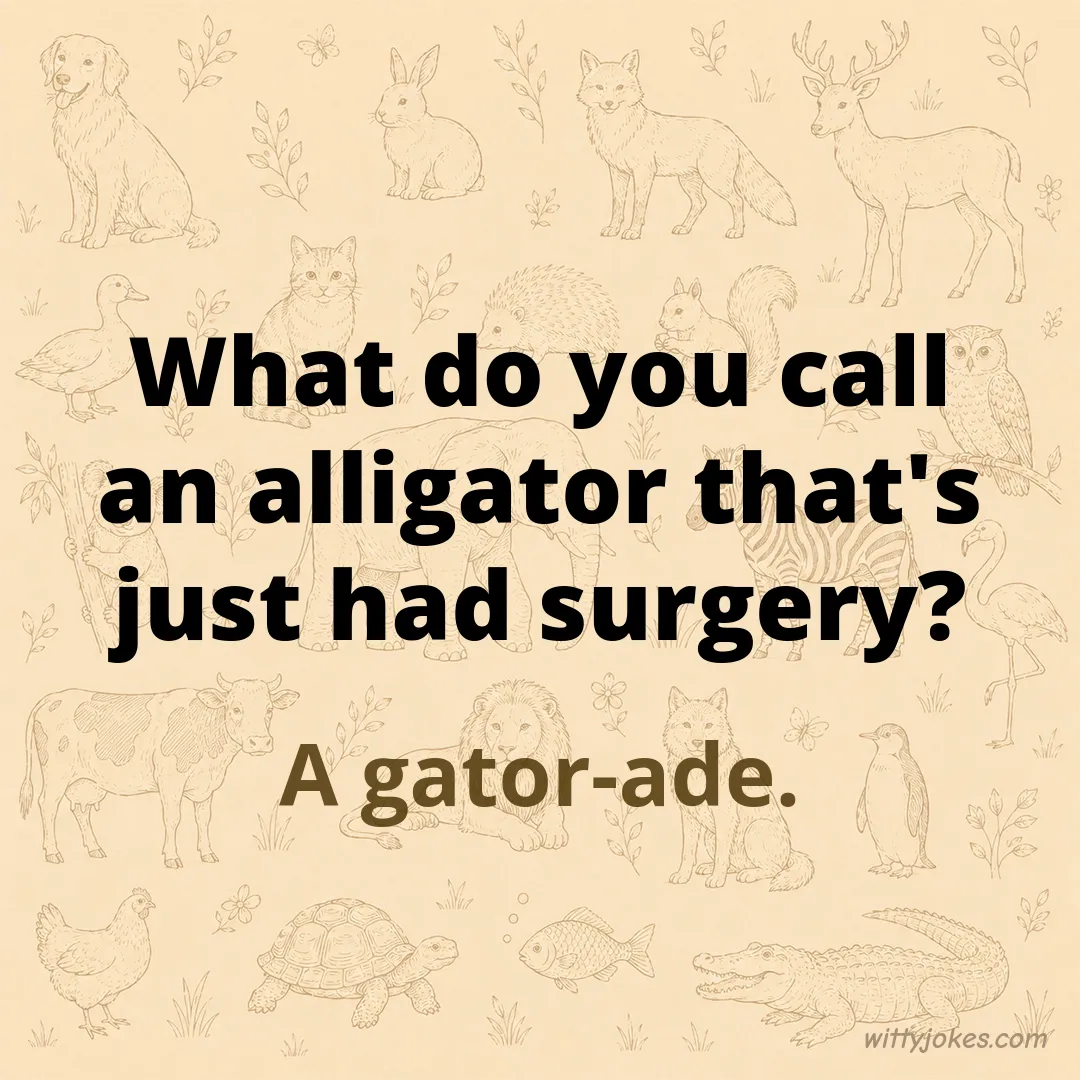 What Do You Call an Alligator That's Just Had Surgery? — Animal Jokes joke