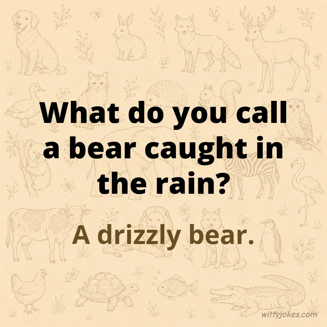 What Do You Call a Bear Caught in the Rain? — Animal Jokes joke