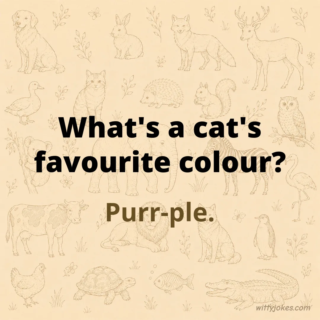 What's a Cat's Favourite Colour? — Animal Jokes joke