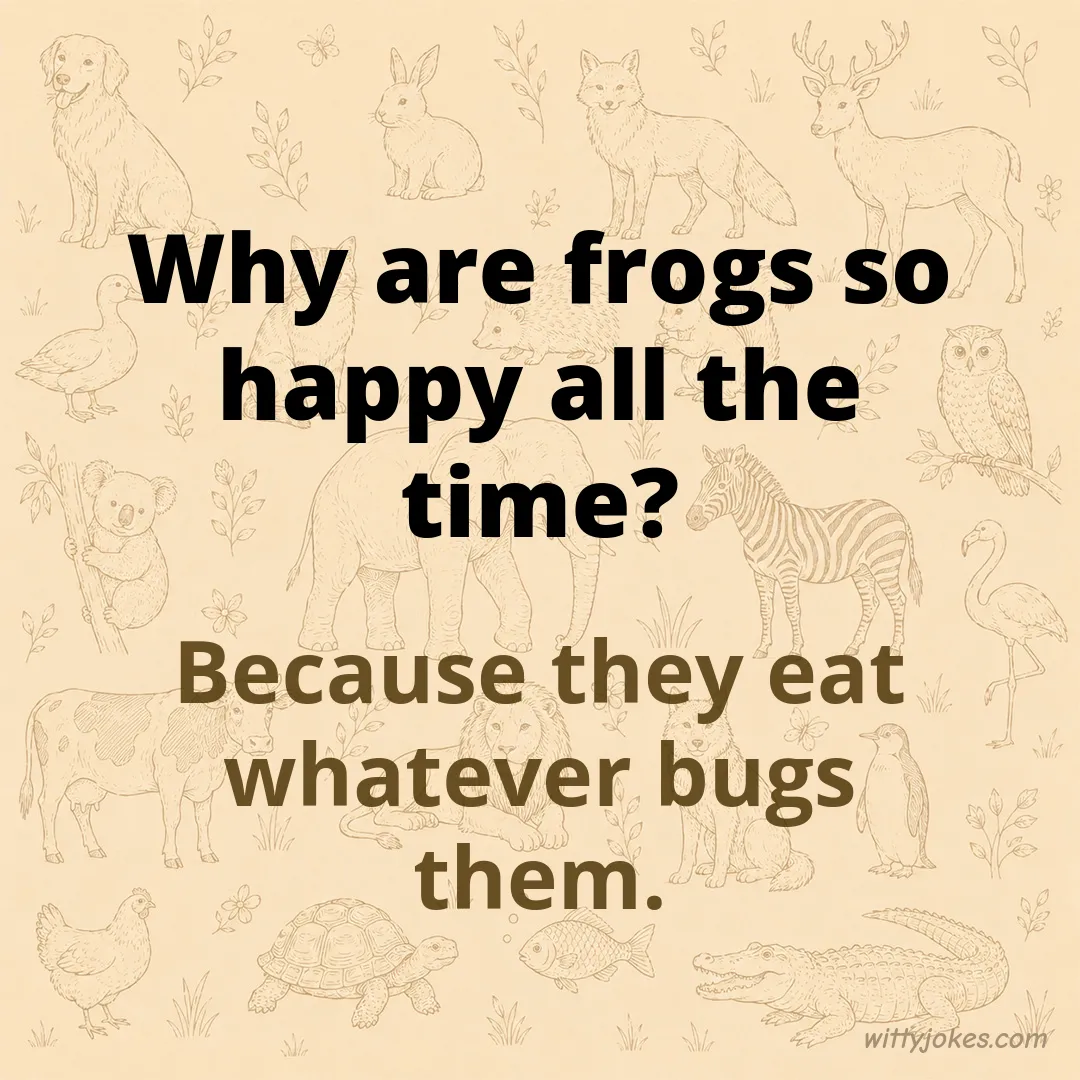 Why Are Frogs So Happy? — Animal Jokes joke