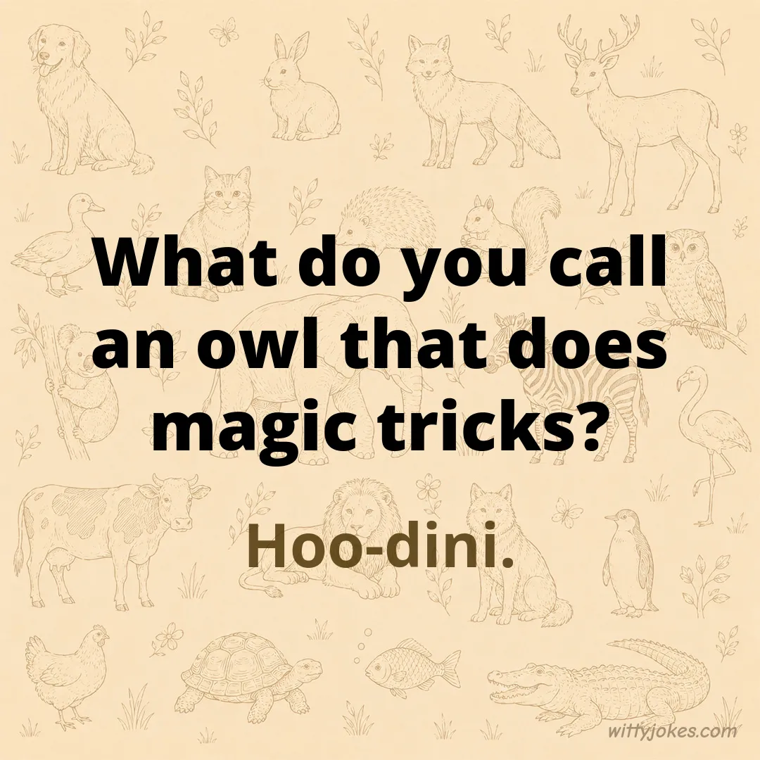 What Do You Call an Owl That Does Magic Tricks? — Animal Jokes joke
