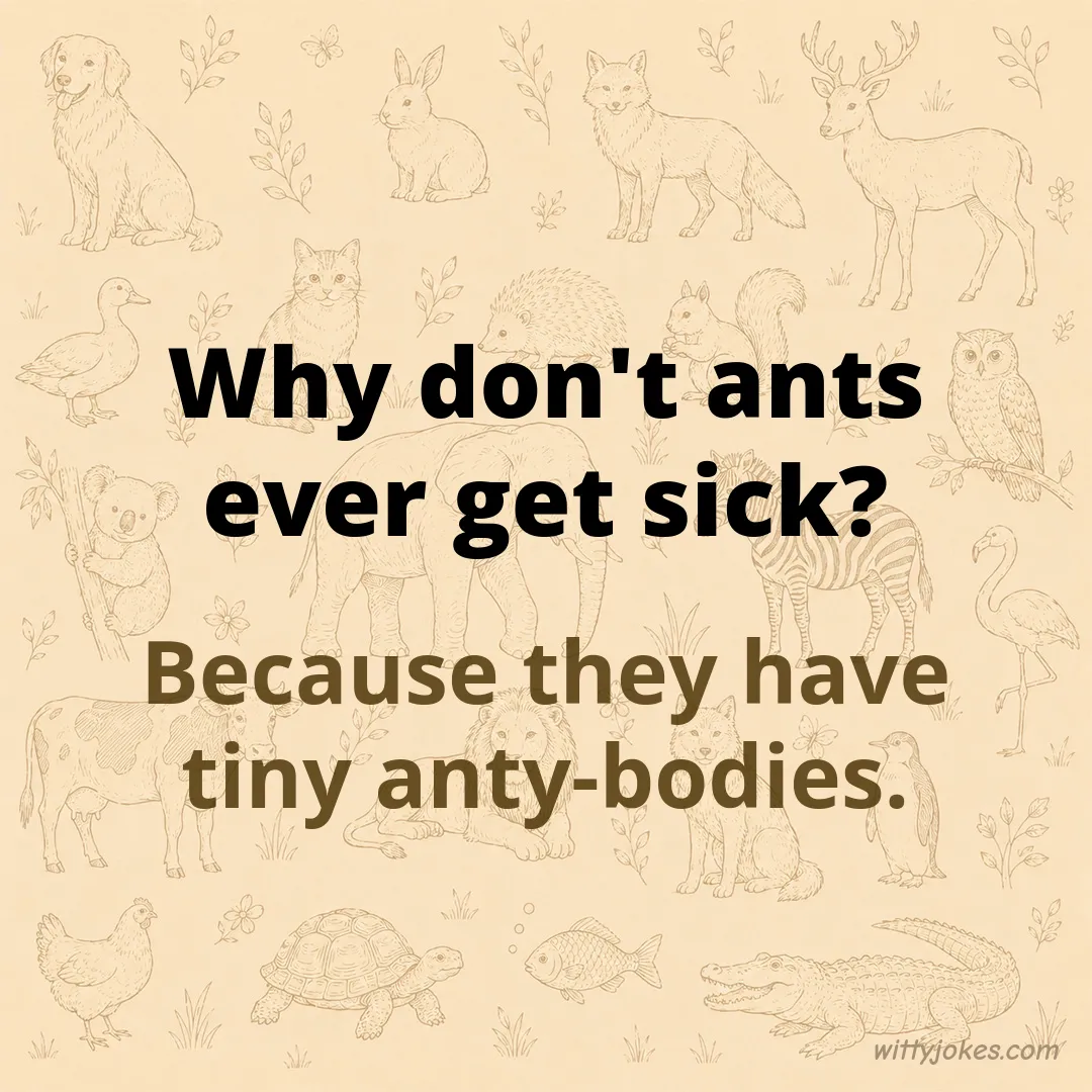 Why Don't Ants Ever Get Sick? — Animal Jokes joke