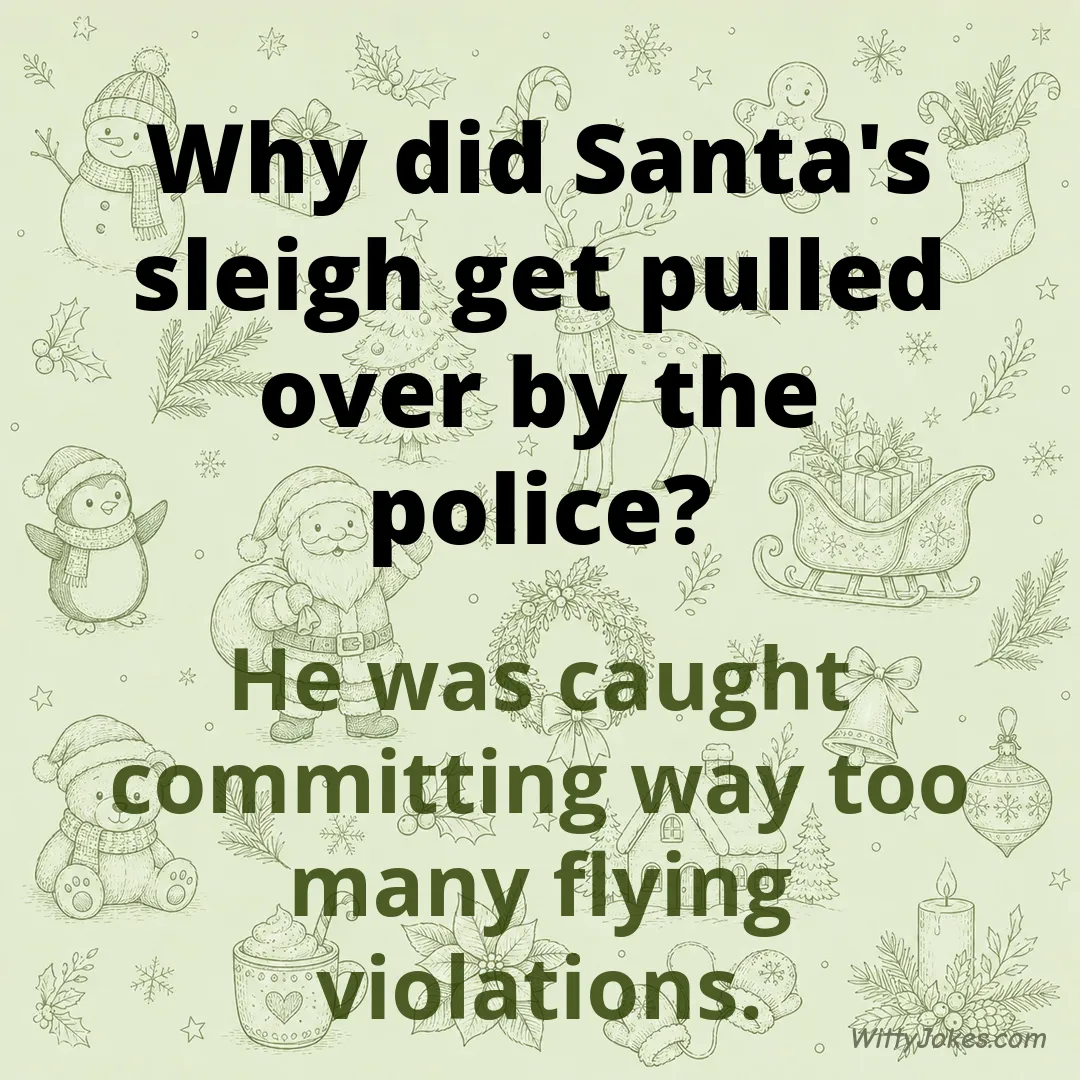 Why Did Santa's Sleigh Get Pulled Over by the Police? — Christmas Jokes joke